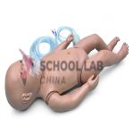 Newborn,CPR simulator